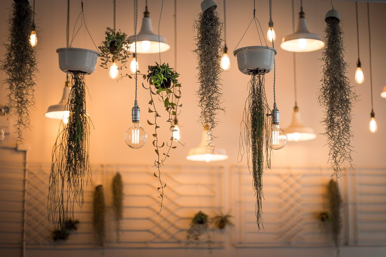 lights, decoration, illuminated, nature, interior design, plants, light bulbs, hanging plants, incandescent, lighting, interior decoration